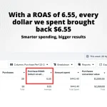 Facebook ads rezultati ROAS